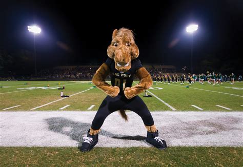 How Cal Poly Pomona College's Colors and Mascot Reflect its Campus Culture